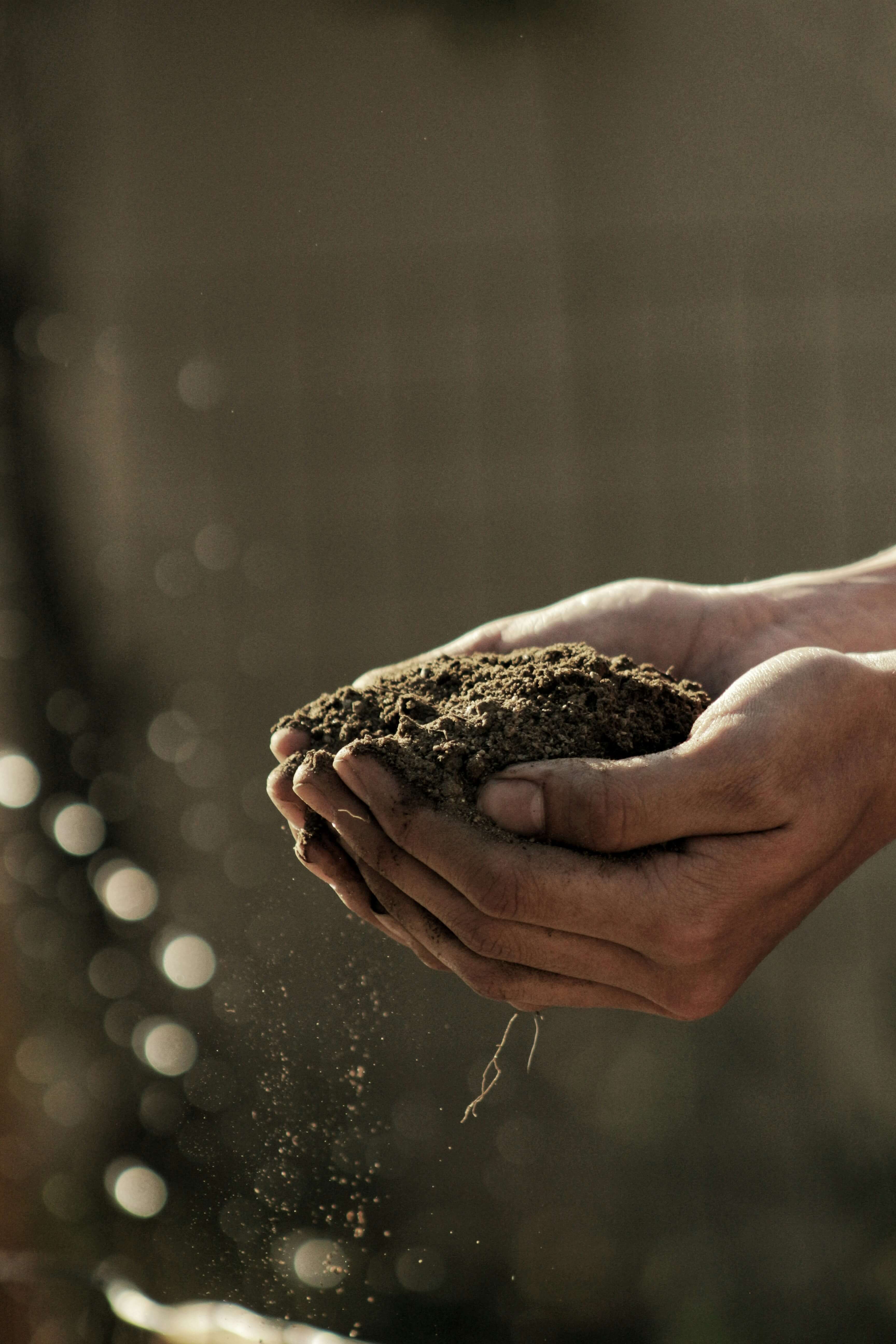 Partecipazione di Etichub all’evento europeo “Together We ROC” dedicato all’agricoltura rigenerativa e alla cosmetica sostenibile presso il Davines Village di Parma.